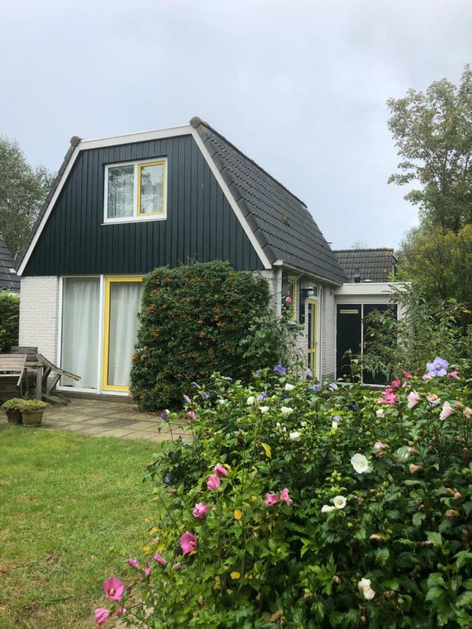 Bungalows - Bungalowpark Mooyeveld - Uniek Gelegen In De Duinen! Egmond-Binnen Oda fotoğraf